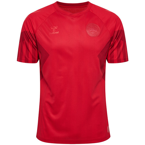 Denmark home soccer jersey first soccer kit men's sportswear football uniform tops sport shirt 2022 world cup